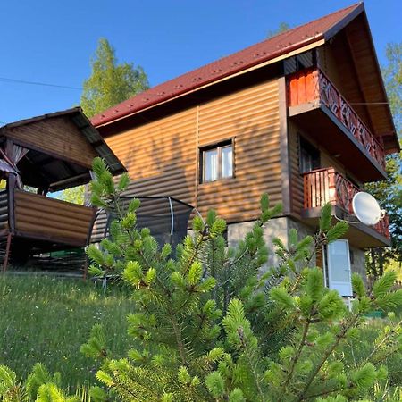 Сімейний Котедж Краєвид Mykulychyn Exterior foto
