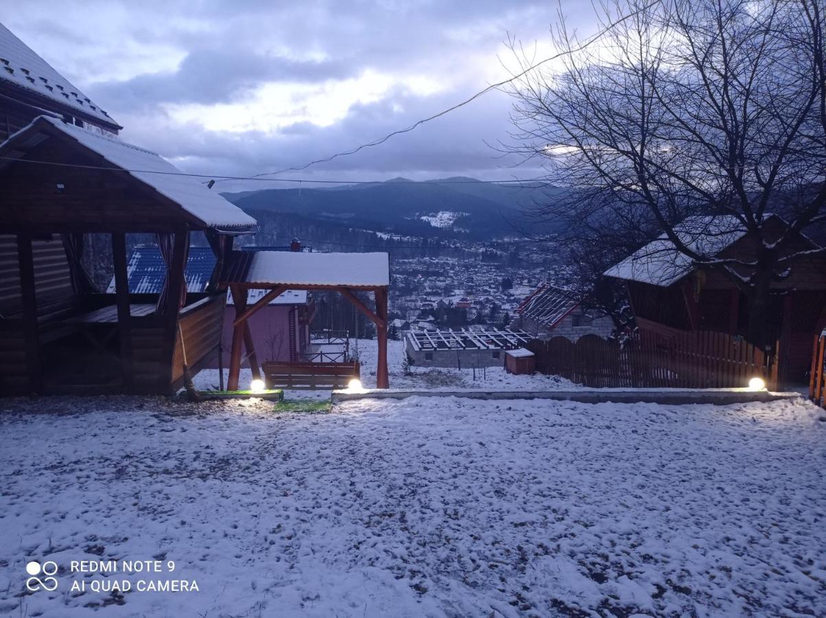 Сімейний Котедж Краєвид Mykulychyn Exterior foto
