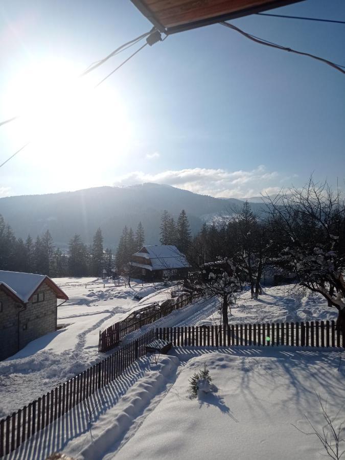 Сімейний Котедж Краєвид Mykulychyn Exterior foto