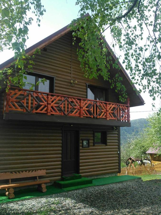 Сімейний Котедж Краєвид Mykulychyn Exterior foto